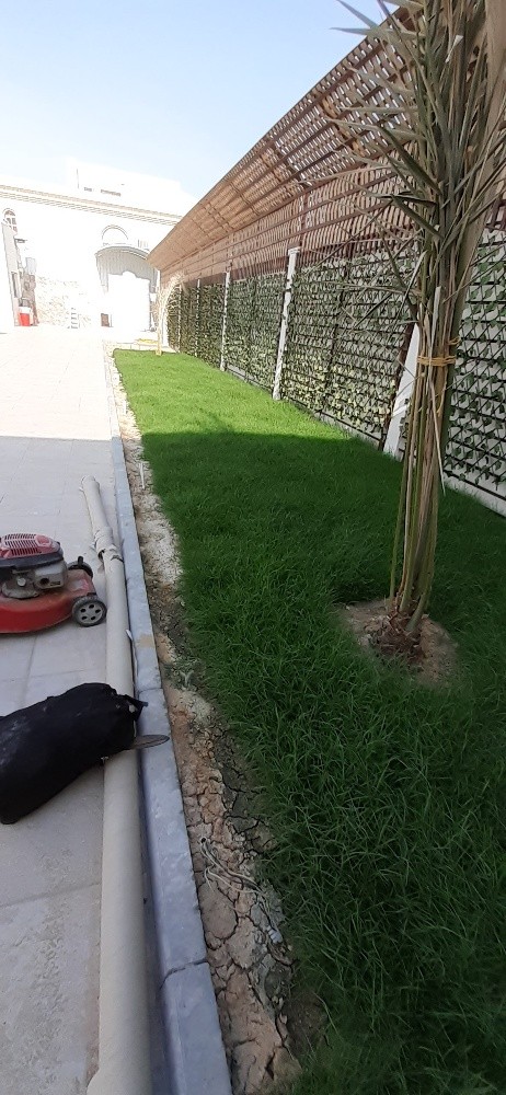 زراعه وديكور - 4