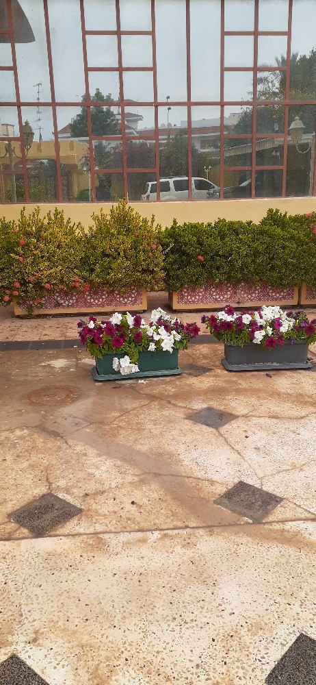 مونصك ومزارع - 3