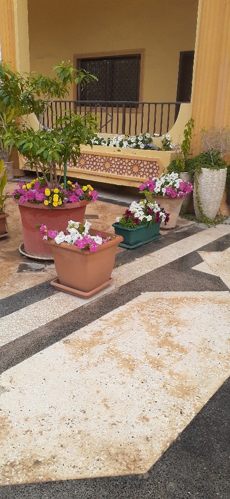 مونصك ومزارع - 4