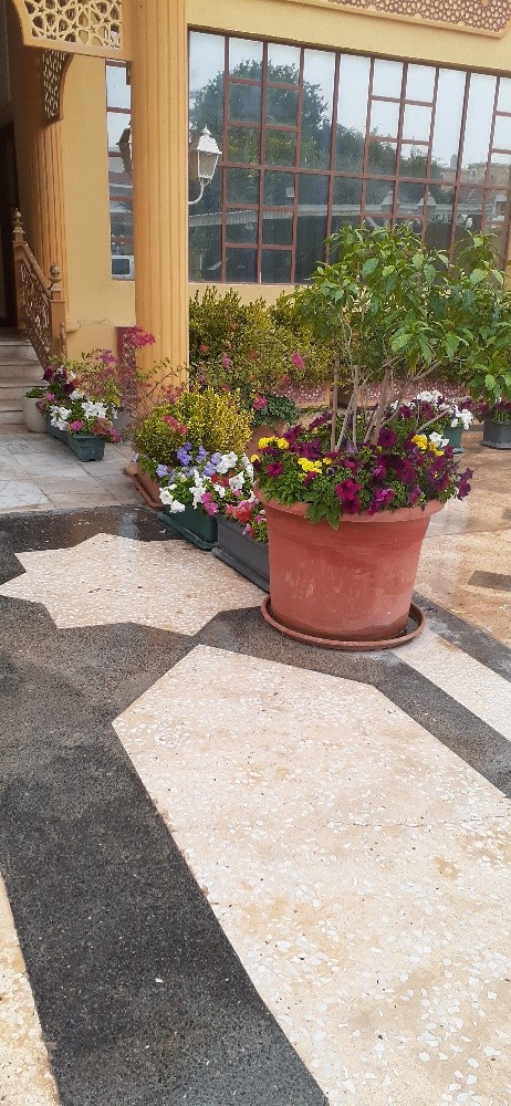 مونصك ومزارع - 5