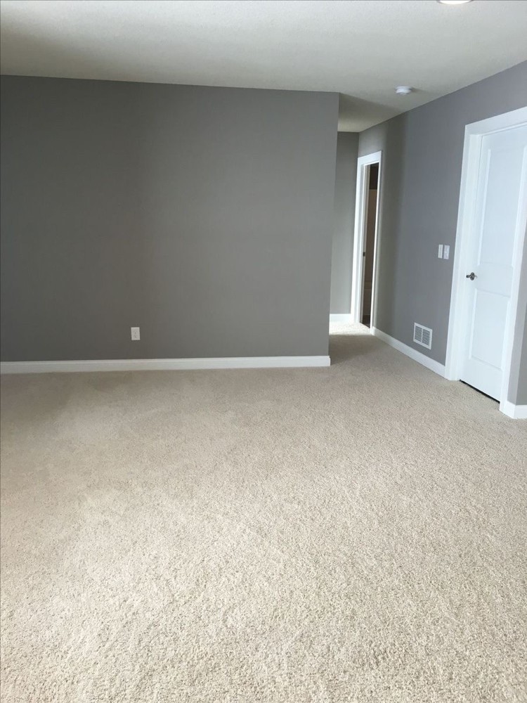 Carpet  - 3