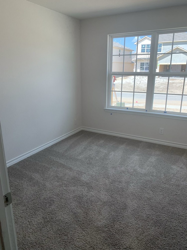 Carpet  - 6