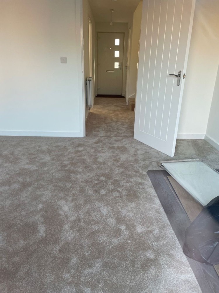 Carpet  - 5