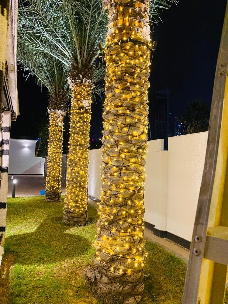 Wedding lighting - 5