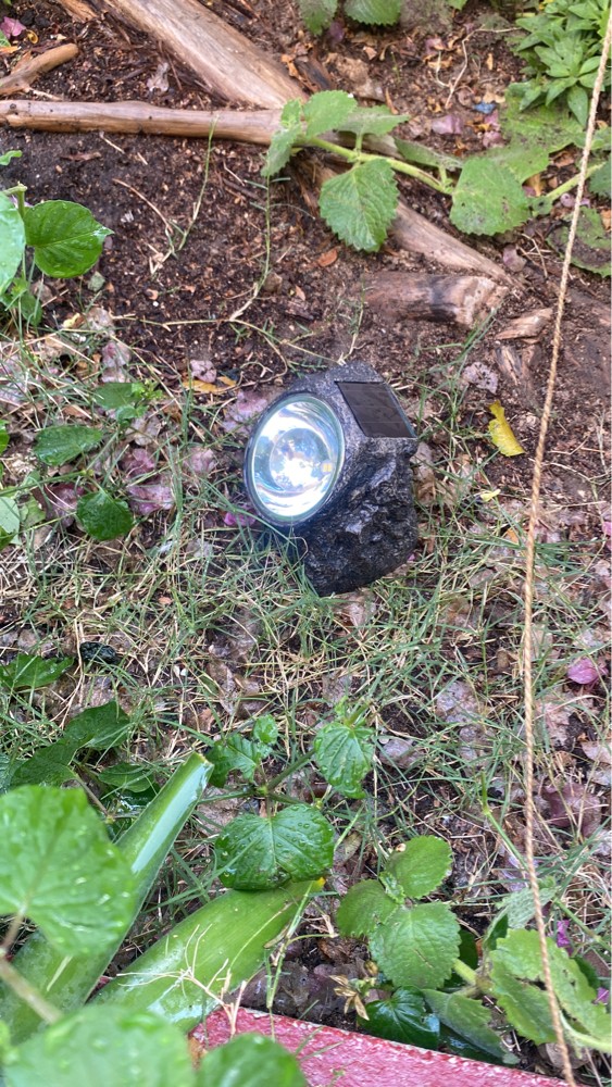solar light - 2