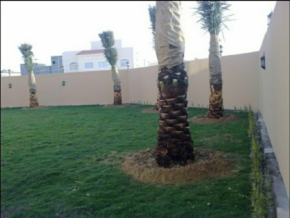 جميع أعمال الزراعه - 2