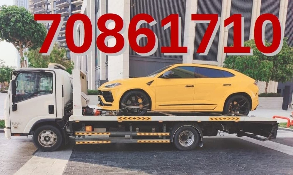 Recovery service 70861710 - 1