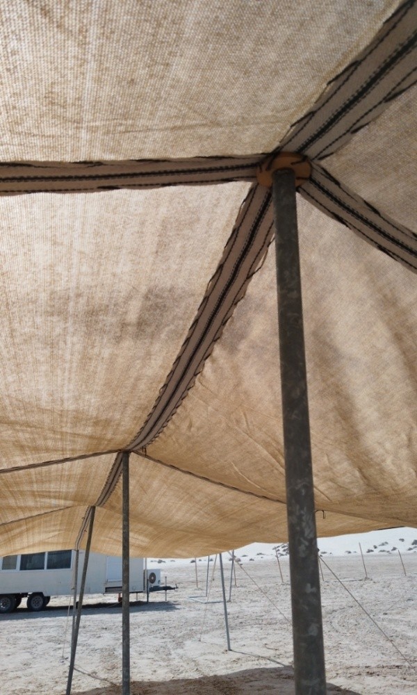 umbrella - 3