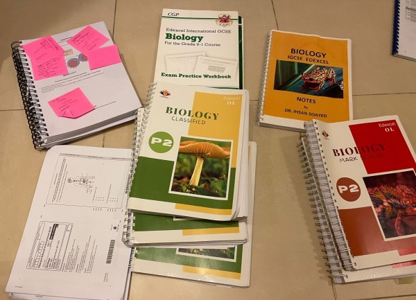 Edexcel IGCSE - 4