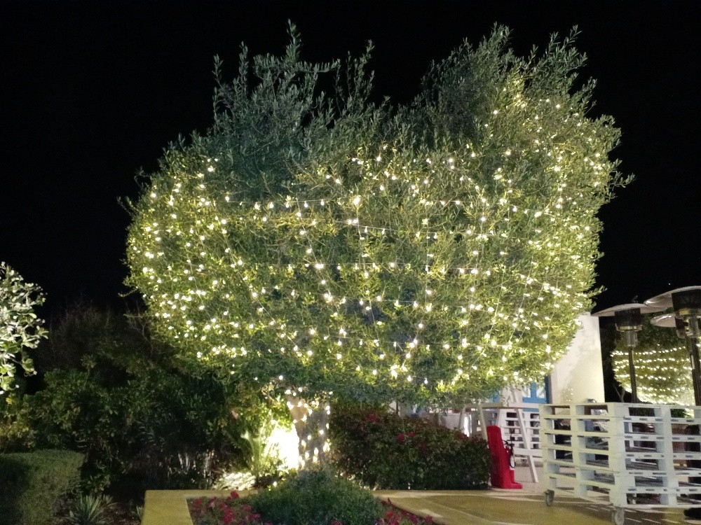 Lighting decoration Qatar - 14