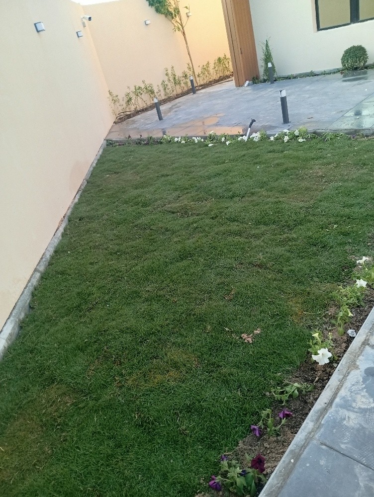 مزراع - 13