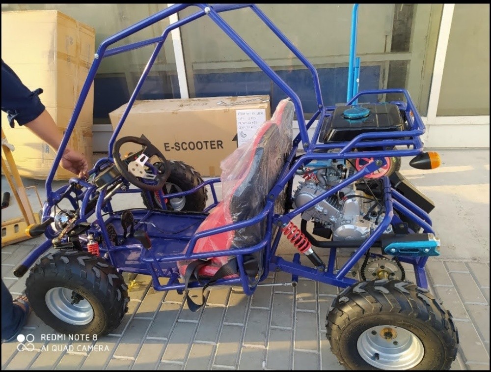 Buggy 125cc - 5