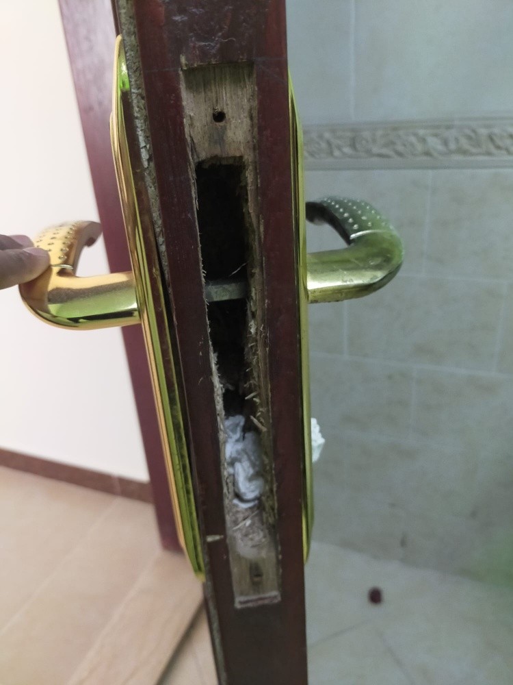 carpenter any maintenance work - 2