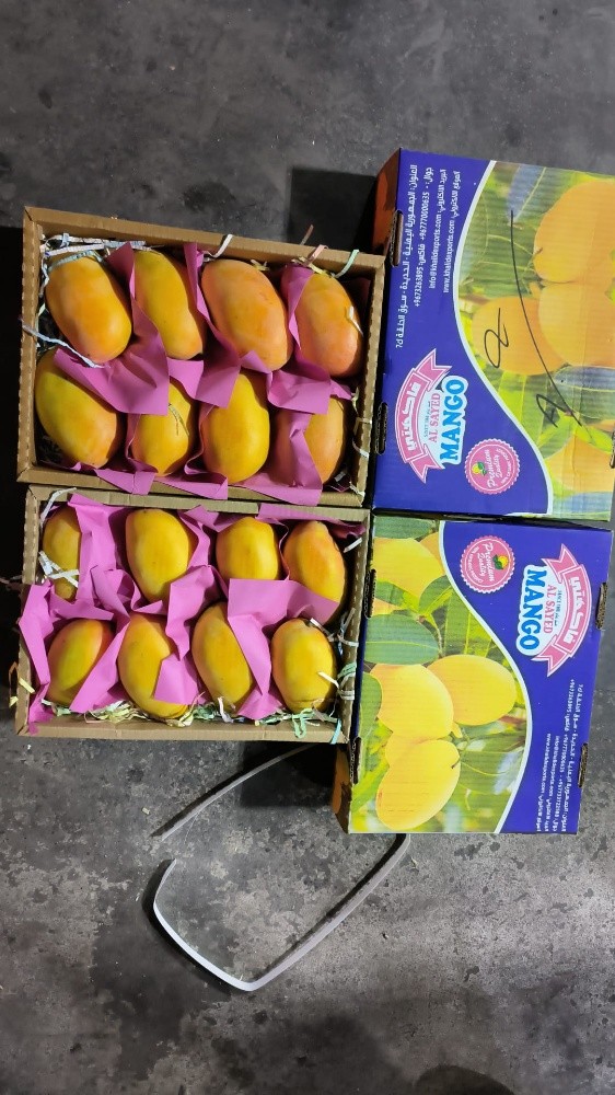 fruit - 6