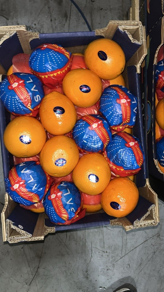 fruit - 10