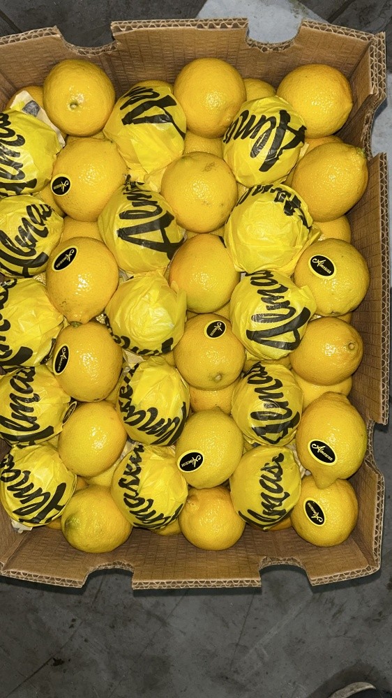 fruit - 12