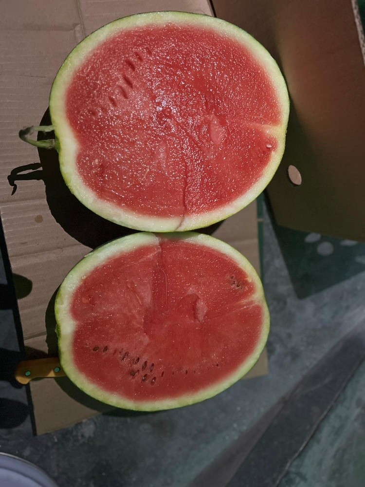 fruit - 7