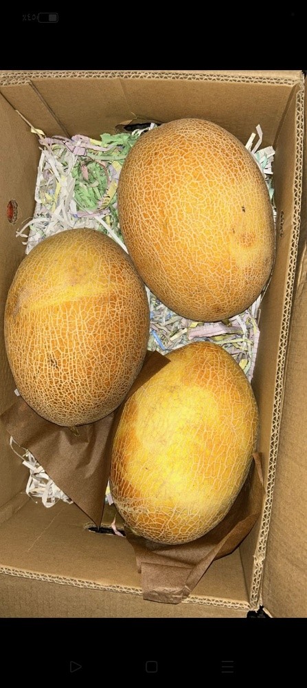 fruit - 8