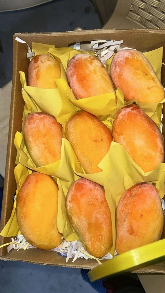 fruit - 1