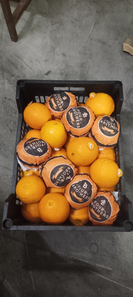fruit - 4