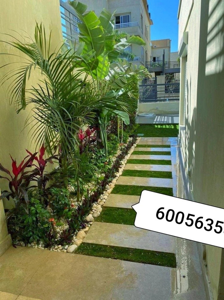 الزراعة المنزليه تنسيق الحدائق - 19