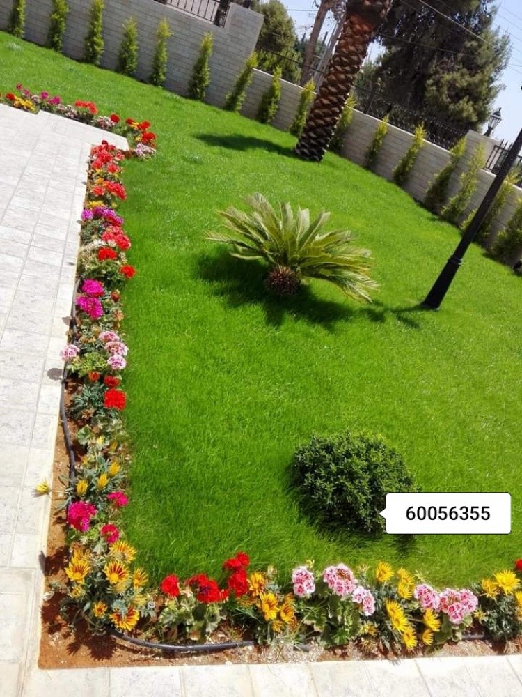 توريد وتركيب العشب الصناعي - 11