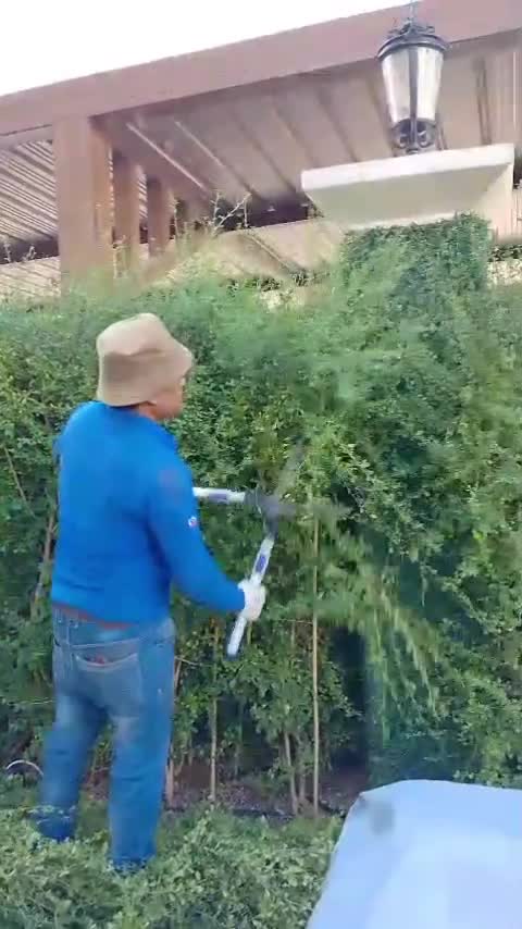 مزارع زراعة وتنظيف الحدائق ومتابع - 1