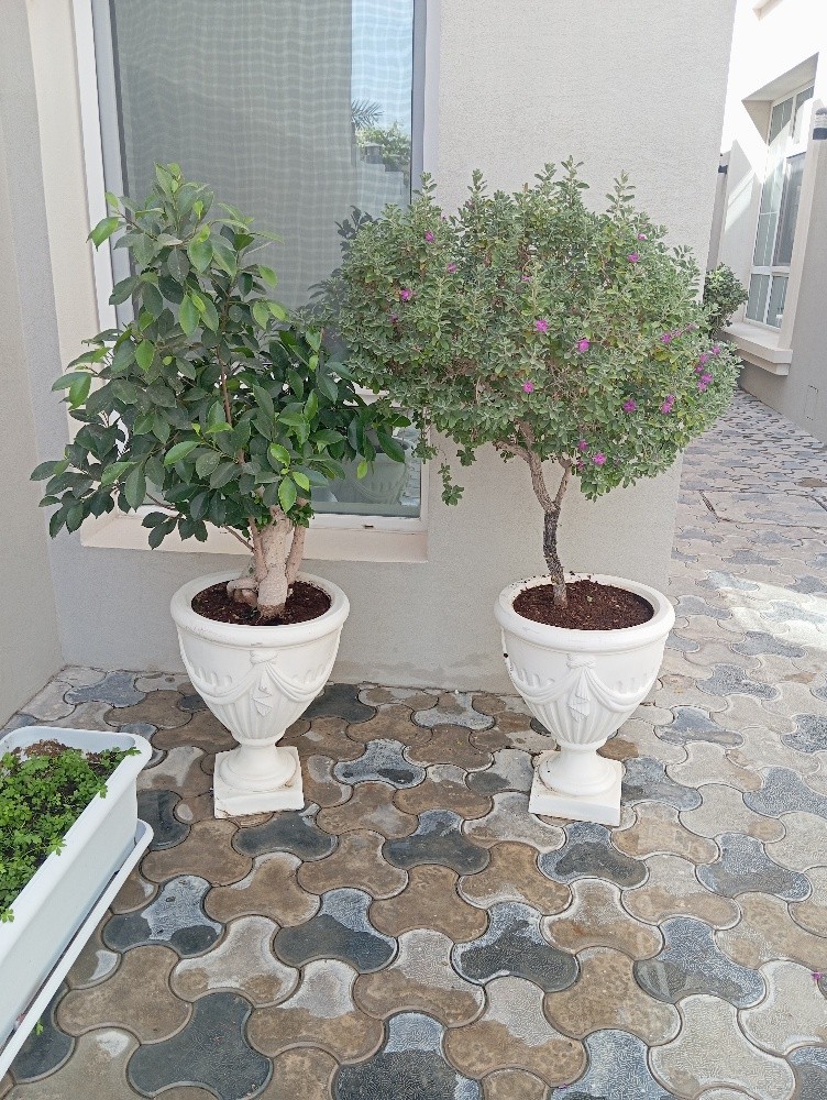 مزارع احنا منسق الحدائق - 3