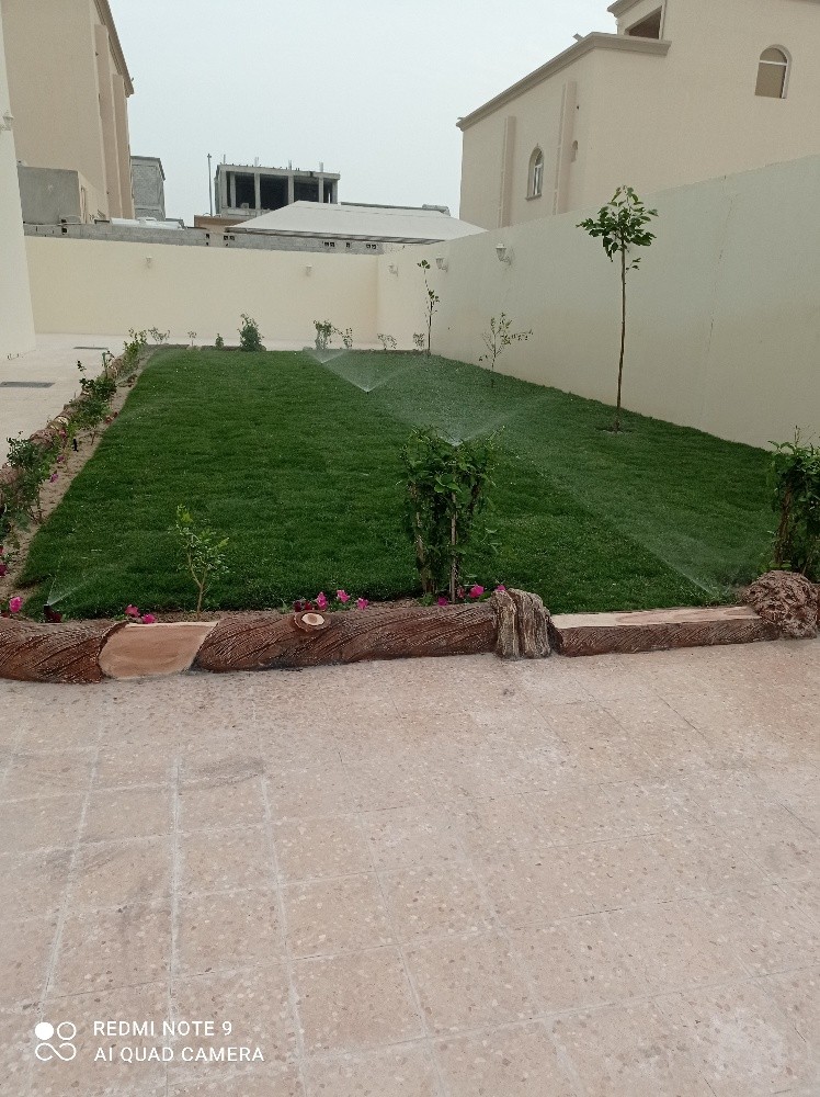 العشب الاخضر - 3
