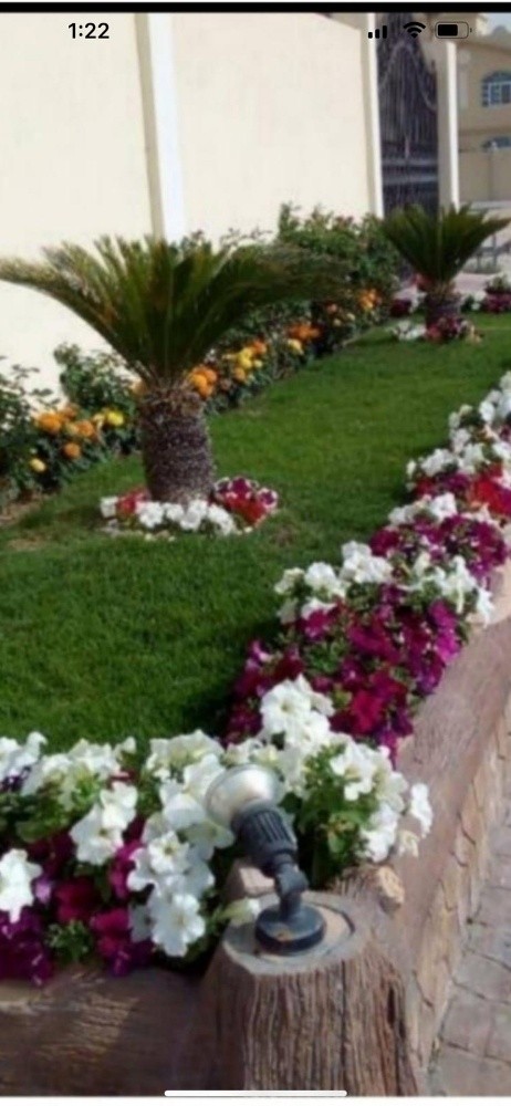 العشب الاخضر - 2