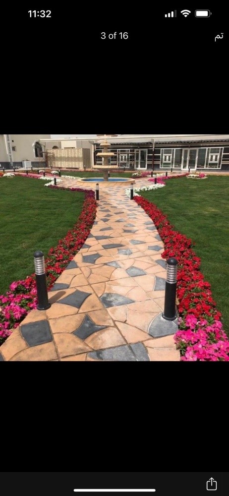 العشب الاخضر - 1
