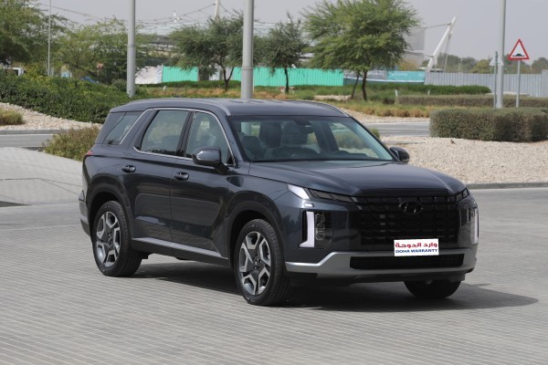 Hyundai Palisade - 3