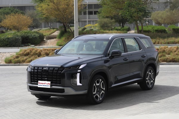 Hyundai Palisade - 2