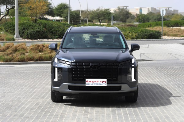 Hyundai Palisade - 1