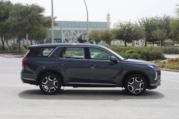 Hyundai Palisade - 4