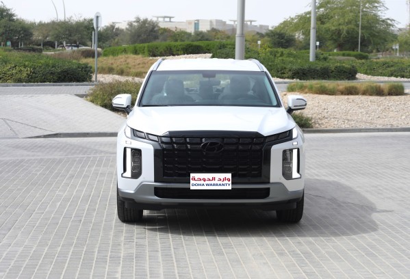 Hyundai Palisade - 1