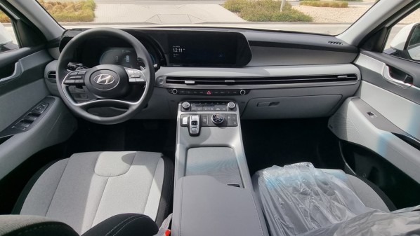 Hyundai Palisade - 8