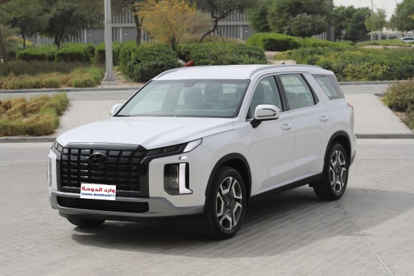 Hyundai Palisade - 2