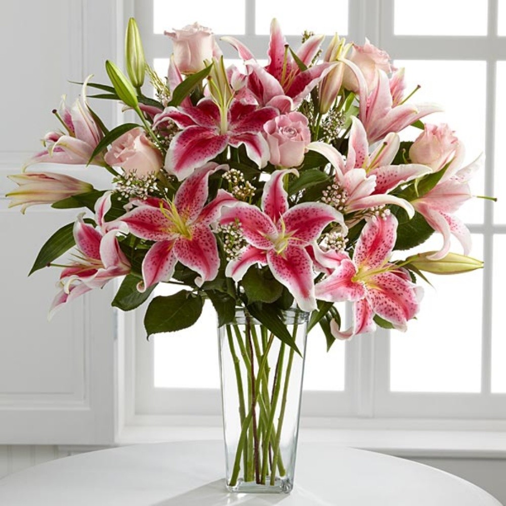 lilly - 2