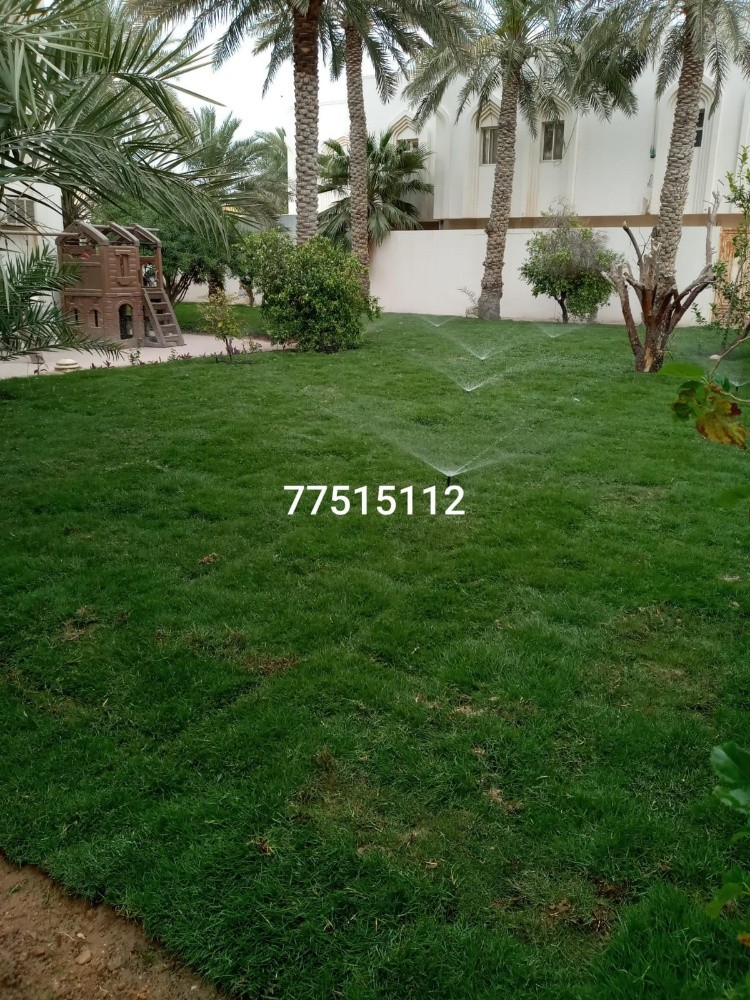 زراعة وتنسيق الحدايق - 2