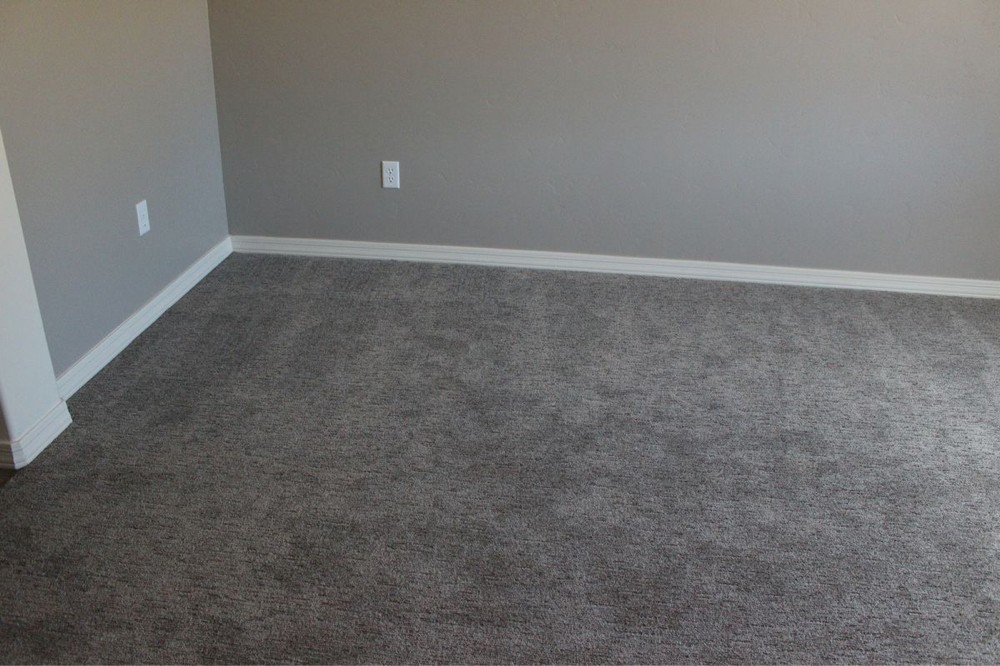Carpet  - 8