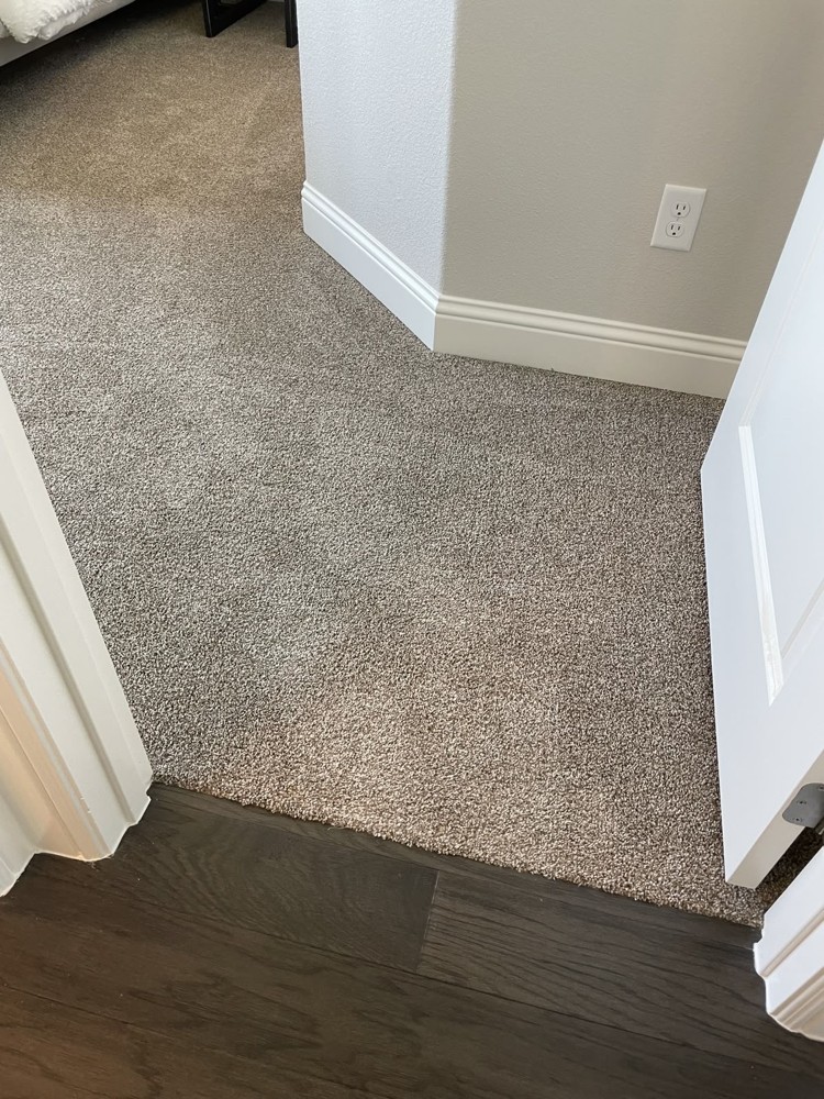 Carpet  - 9
