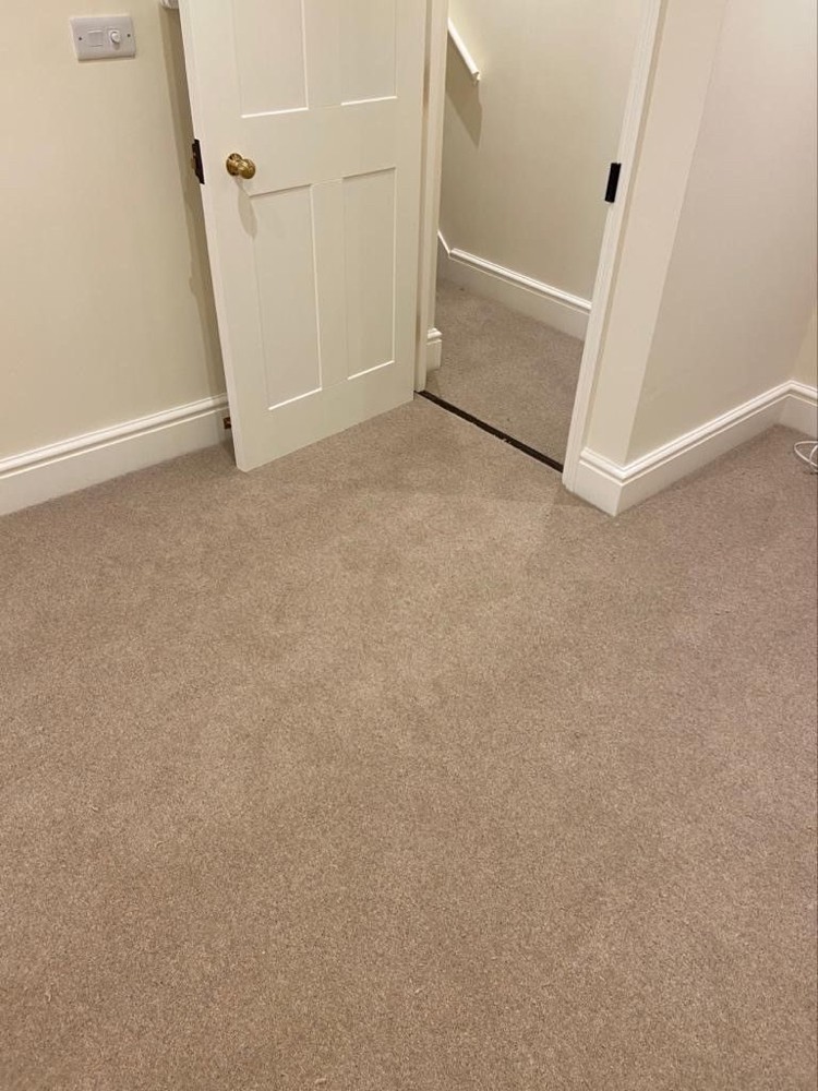 Carpet  - 1