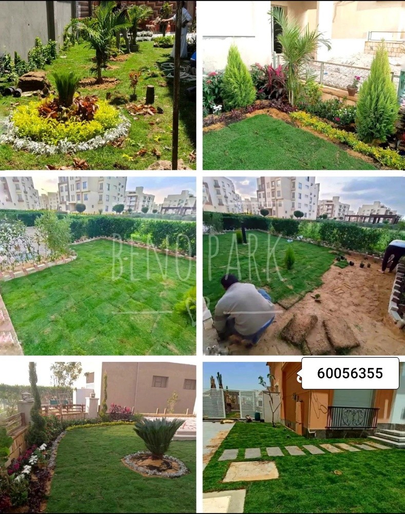 تنسيق الحدائق - 19