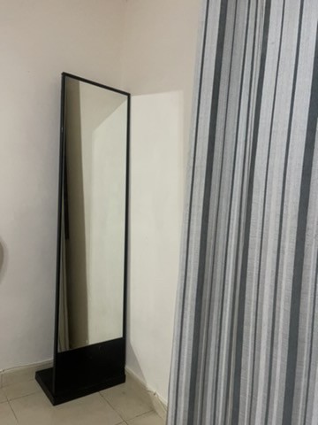 full length mirror  - 1