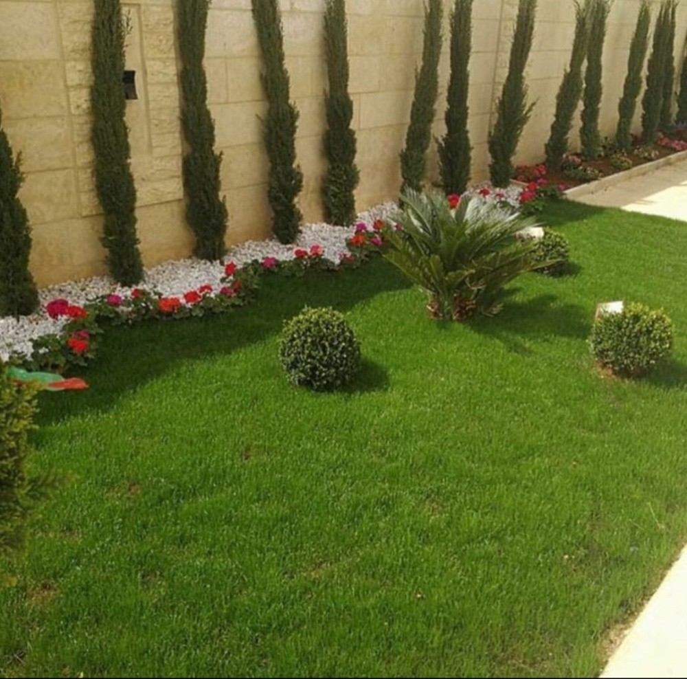 حول حديقتك إلى جنة خضراء - 6