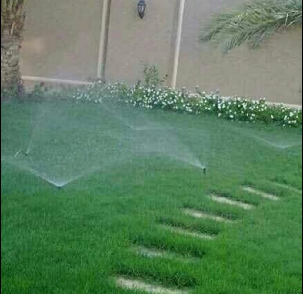 حول حديقتك إلى جنة خضراء - 13