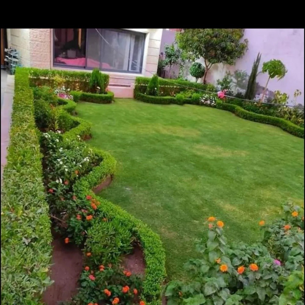 حول حديقتك إلى جنة خضراء - 2