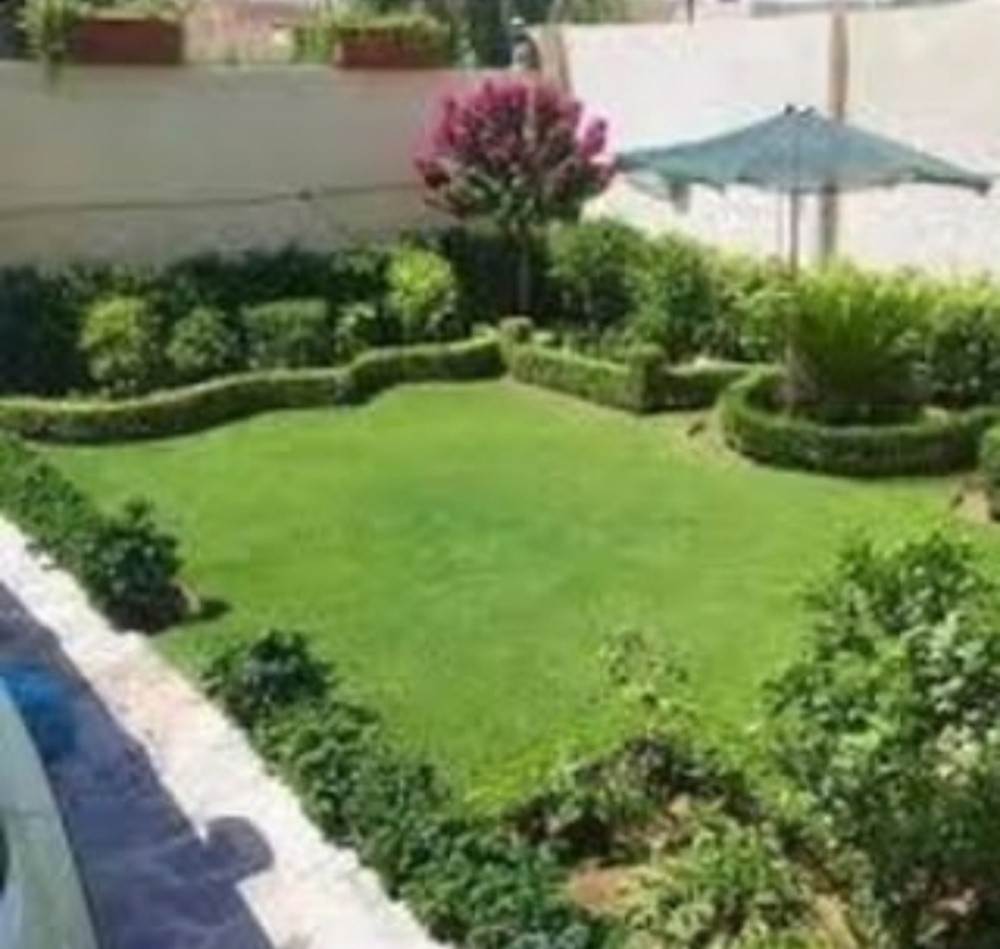 حول حديقتك إلى جنة خضراء - 10