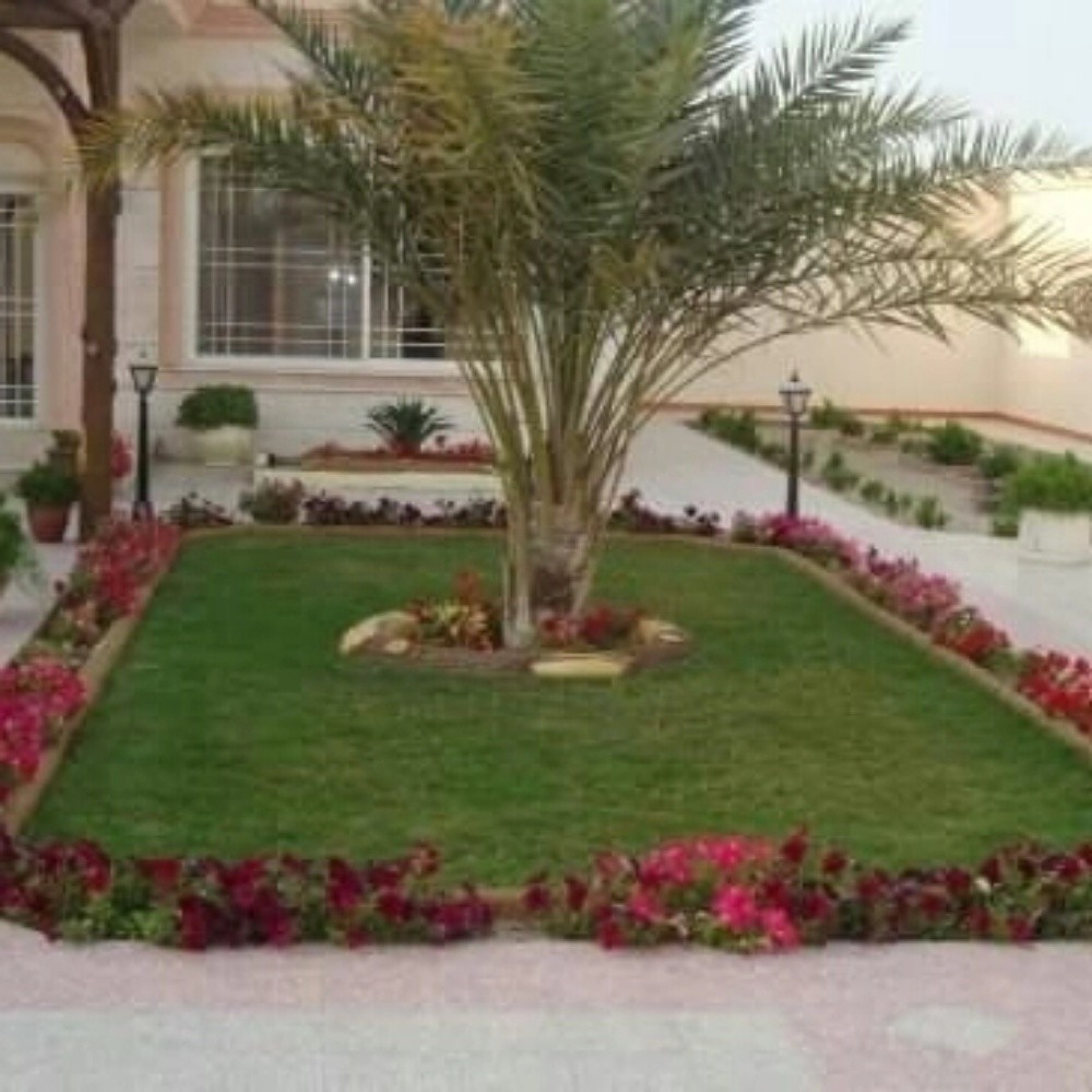 خبراء النخيل في خدمتكم - 14